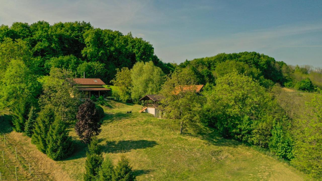 Green Hills Cottage In Zagorje With Magnificent View Ravnice-Desinicke Екстер'єр фото
