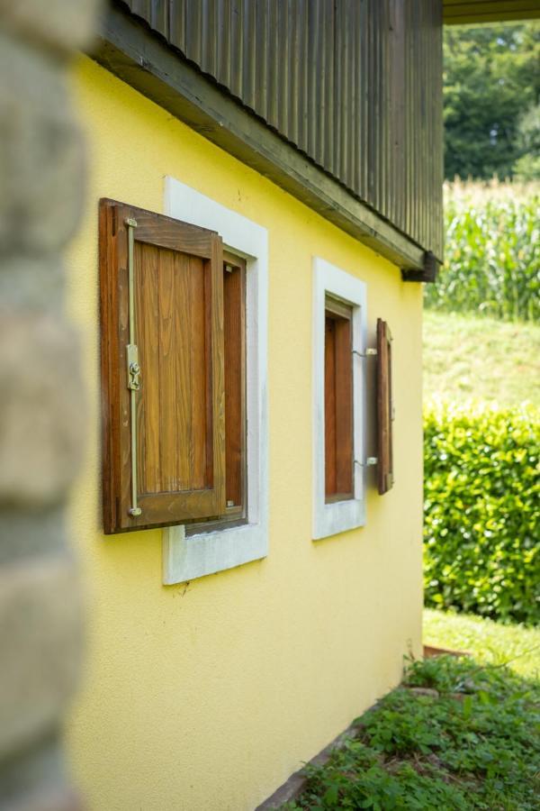 Green Hills Cottage In Zagorje With Magnificent View Ravnice-Desinicke Екстер'єр фото